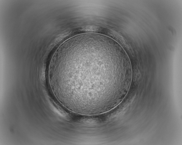 X0000113140299200909041214