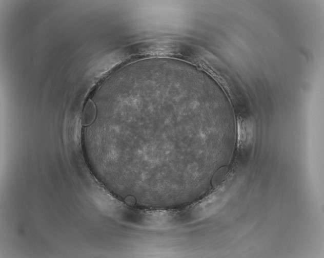 X0000113140301200909041214