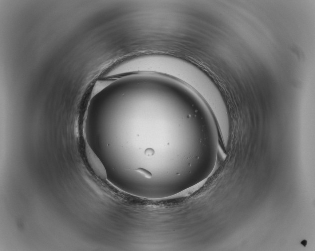 X0000113140302200909041214