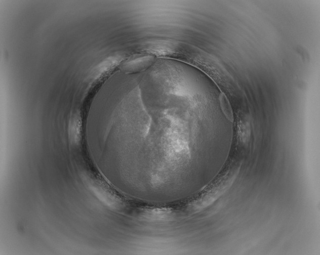 X0000113140304200909041214