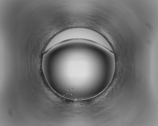 X0000113140305200909041214