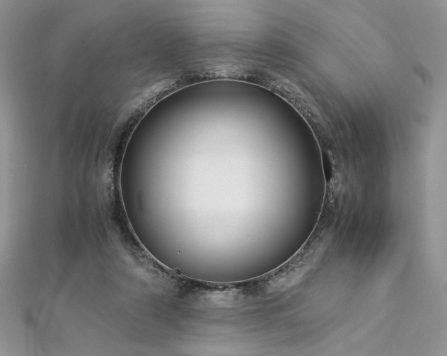 X0000113140306200909041214