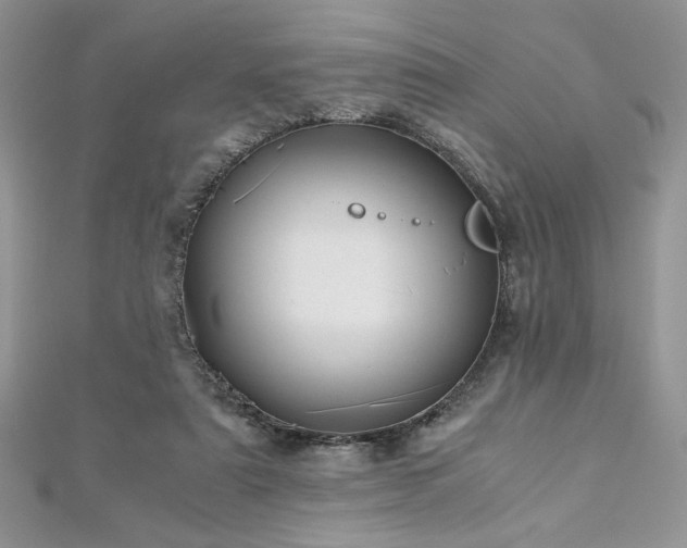 X0000113140307200909041214