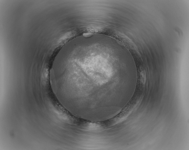 X0000113140308200909041214