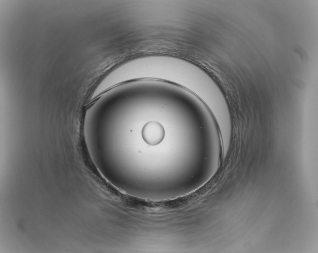 X0000113140309200909041214