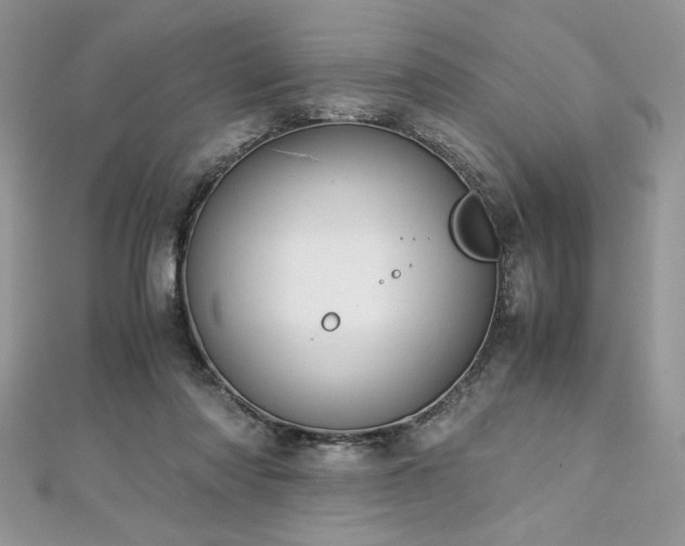 X0000113140310200909041214