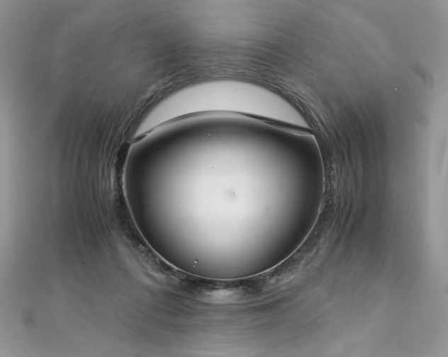 X0000113140312200909041214