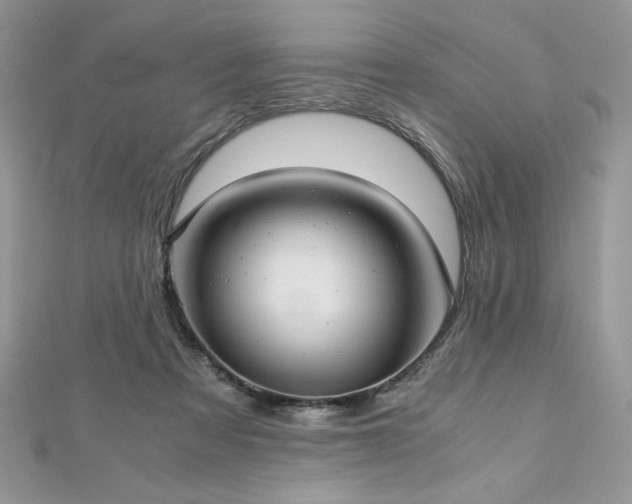 X0000113140313200909041214