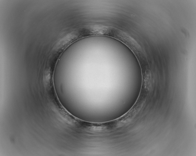 X0000113140314200909041214