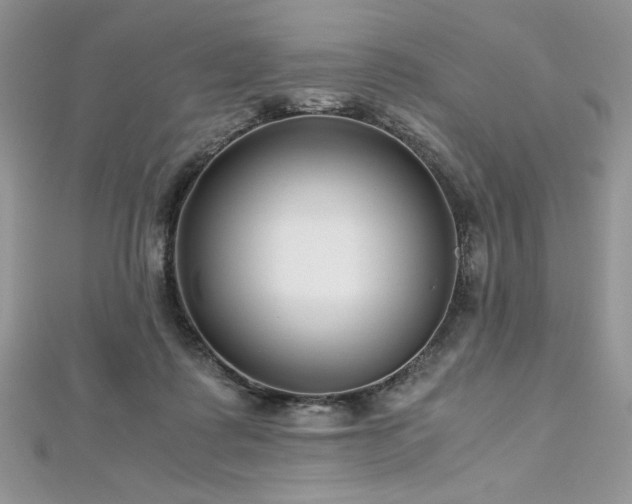 X0000113140315200909041214