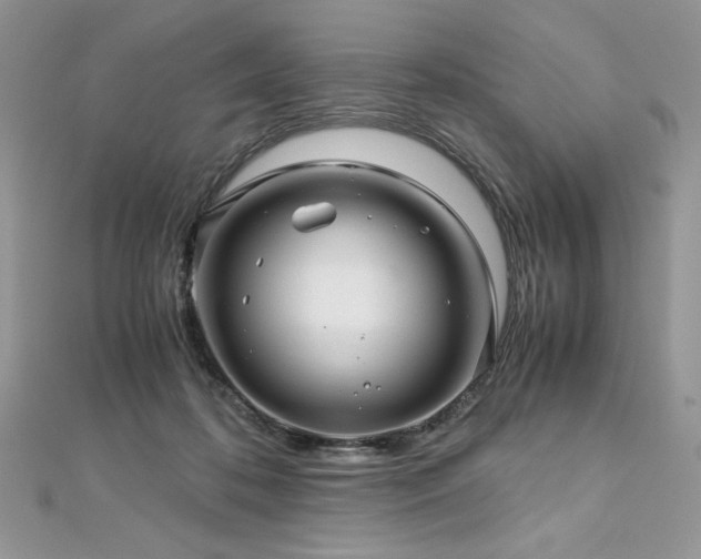 X0000113140316200909041214