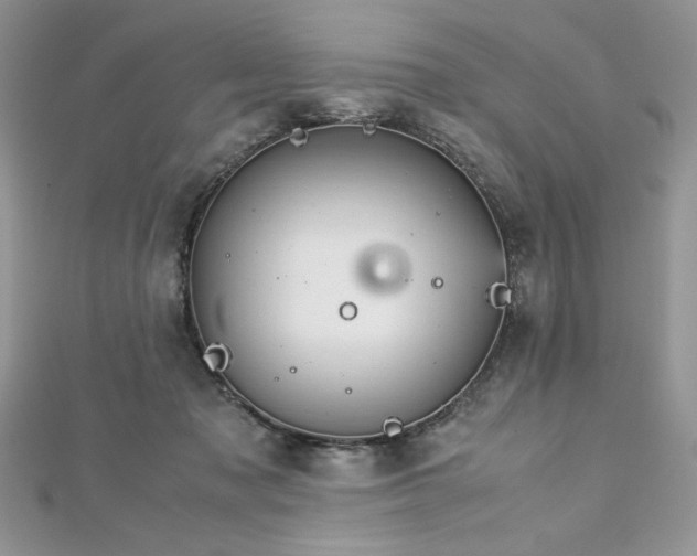 X0000113140317200909041214