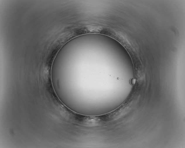 X0000113140321200909041214