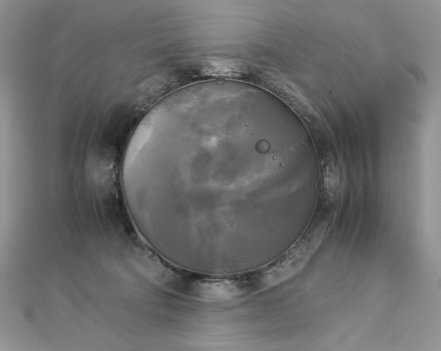 X0000113140322200909041214