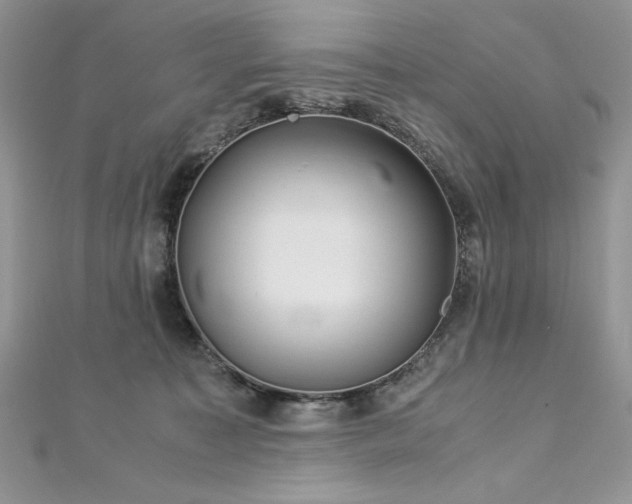 X0000113140323200909041214