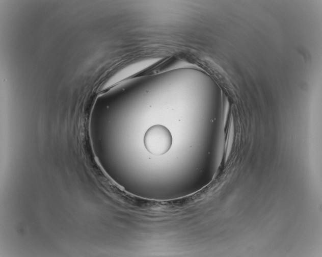 X0000113140325200909041214