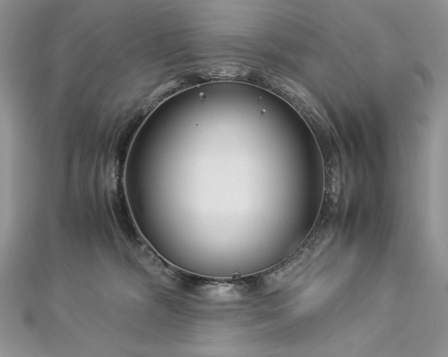 X0000113140326200909041214