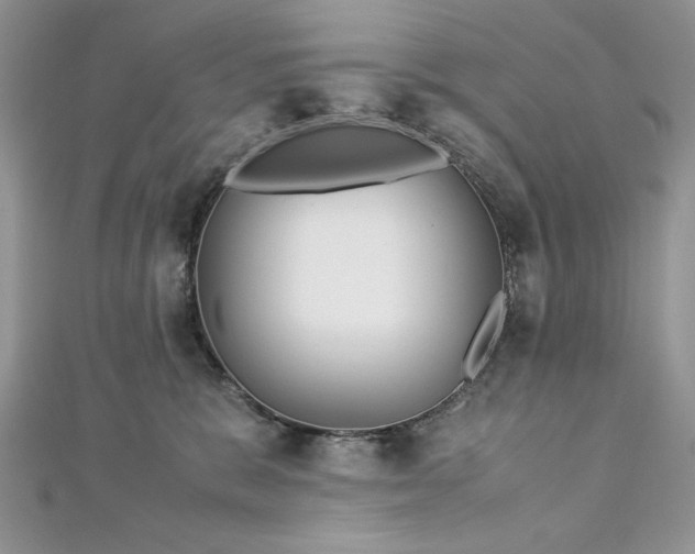 X0000113140327200909041214