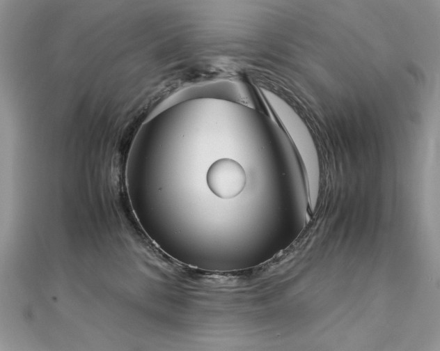 X0000113140328200909041214