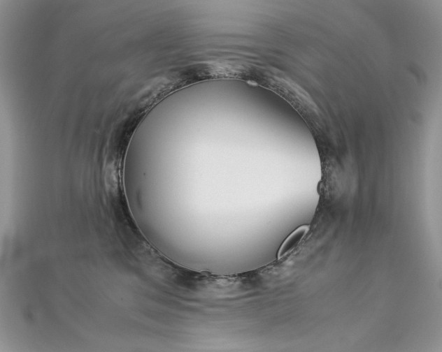 X0000113140329200909041214