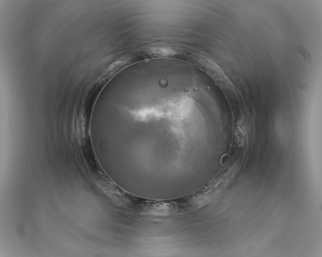 X0000113140330200909041214