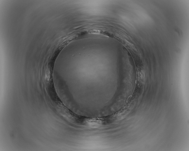 X0000113140331200909041214