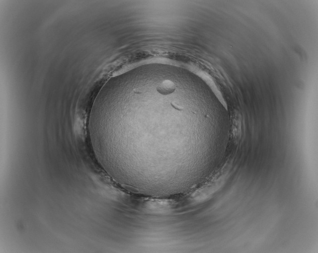 X0000113140332200909041214