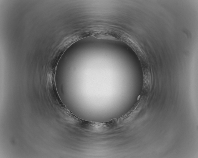 X0000113140333200909041214