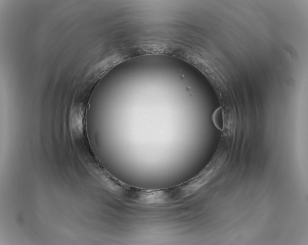 X0000113140334200909041214