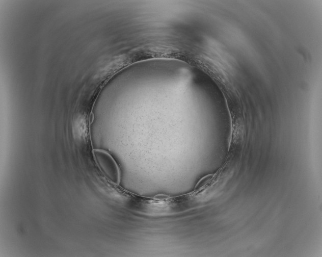 X0000113140335200909041213