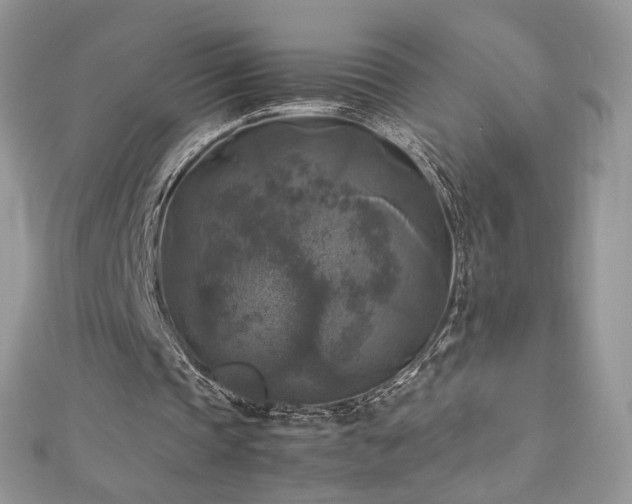 X0000113140337200909041213