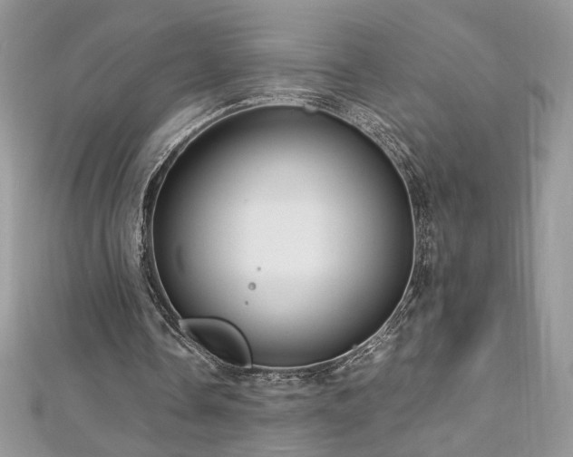 X0000113140338200909041213