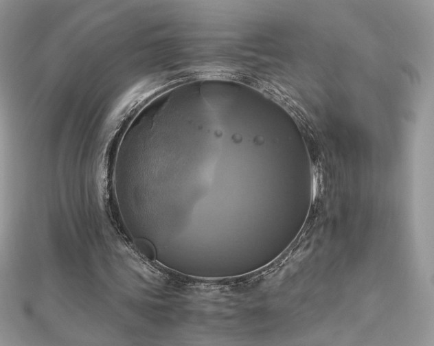 X0000113140339200909041213