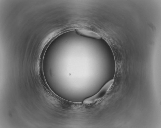 X0000113140340200909041213