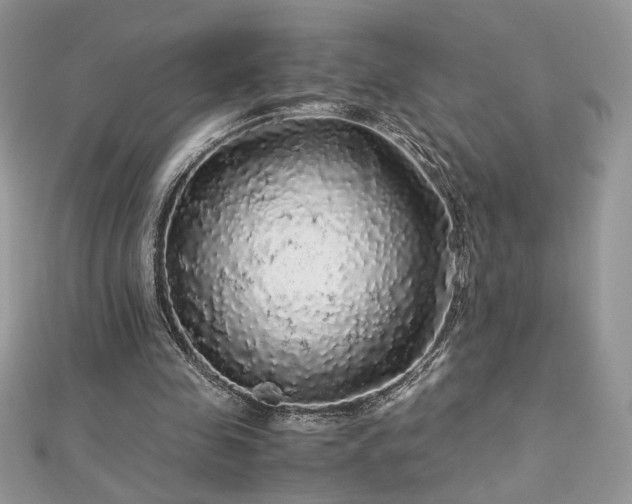 X0000113140341200909041213