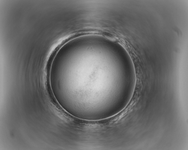 X0000113140342200909041213