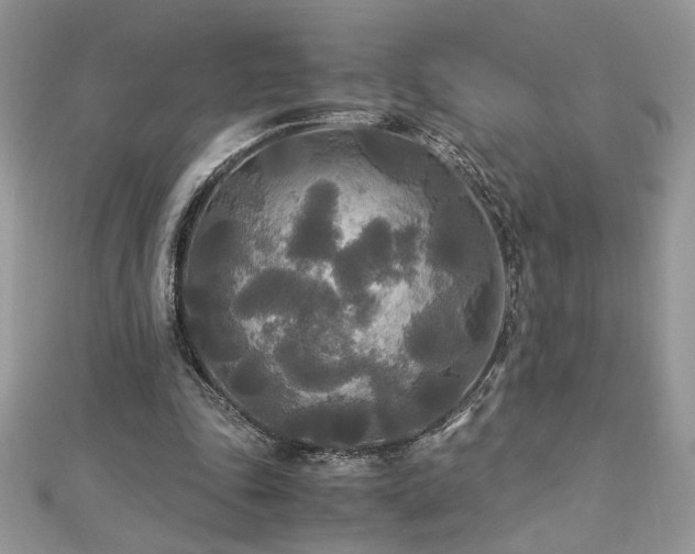 X0000113140343200909041213