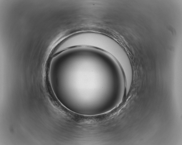 X0000113140344200909041213