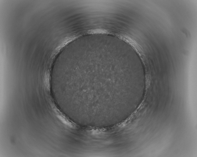 X0000113140345200909041213