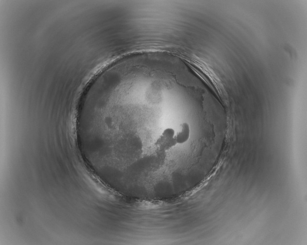 X0000113140346200909041213