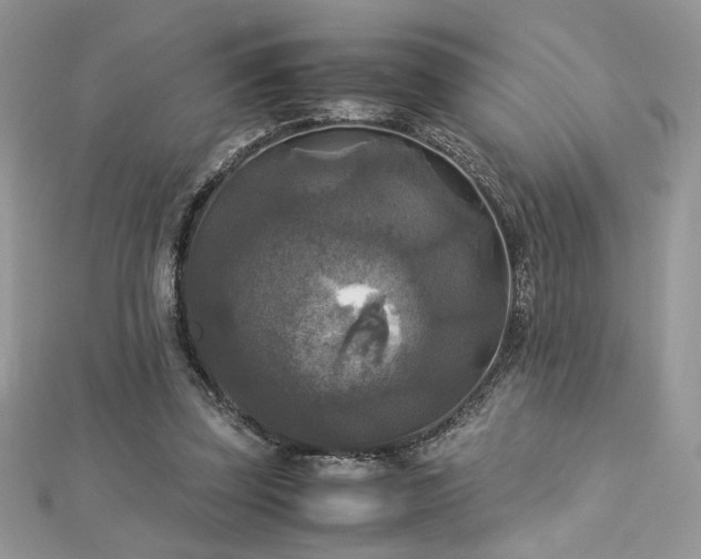 X0000113140347200909041213