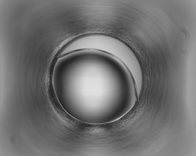 X0000113140348200909041213