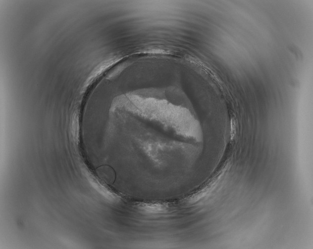 X0000113140349200909041213