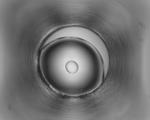 X0000113140350200909041213