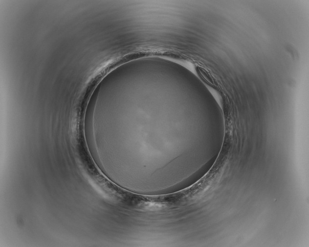 X0000113140352200909041213