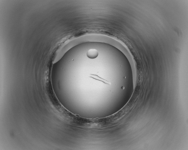 X0000113140356200909041213