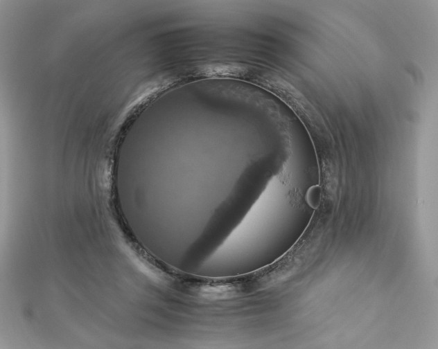 X0000113140357200909041213