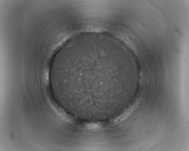 X0000113140358200909041213