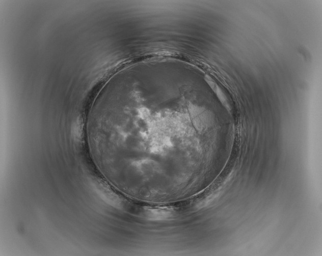 X0000113140359200909041213