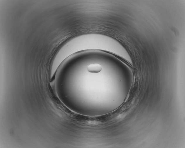 X0000113140360200909041213